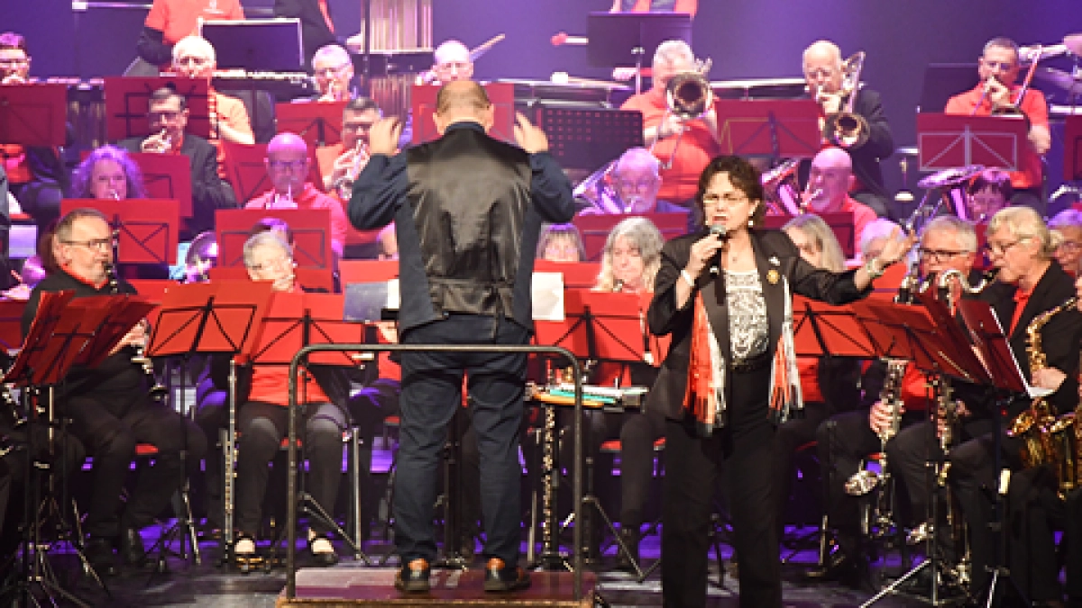 Image for Anne-Marie David & l&rsquo;Orchestre New Age