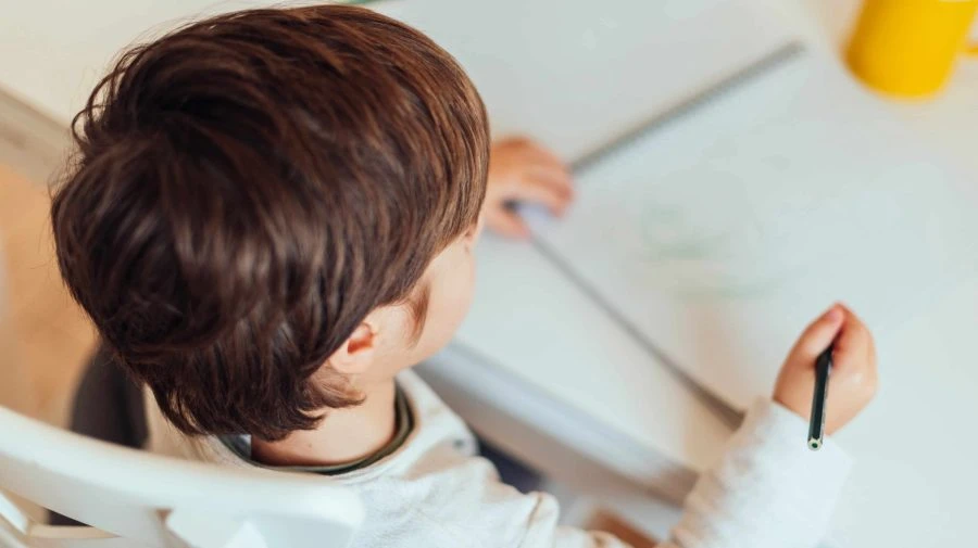 Atelier « Apprends à dessiner un animal »